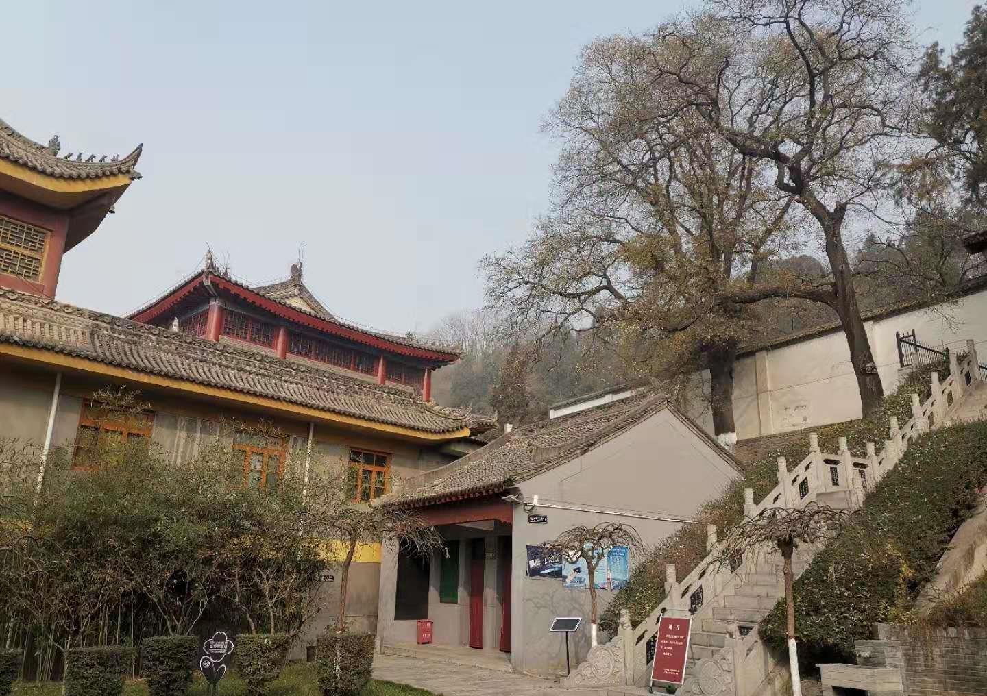 游杜甫纪念馆,赏古树名木看龙爪槐,景点很特别值得大家去看看