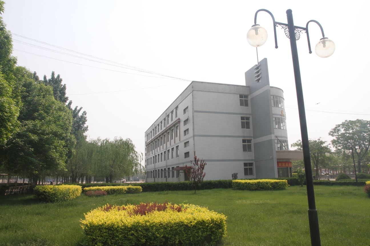 沧县中学两棵相依的树