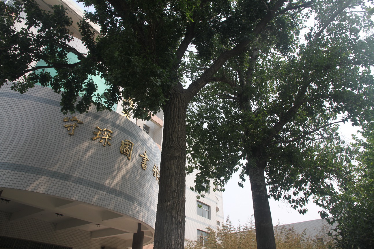沧县中学两棵相依的树