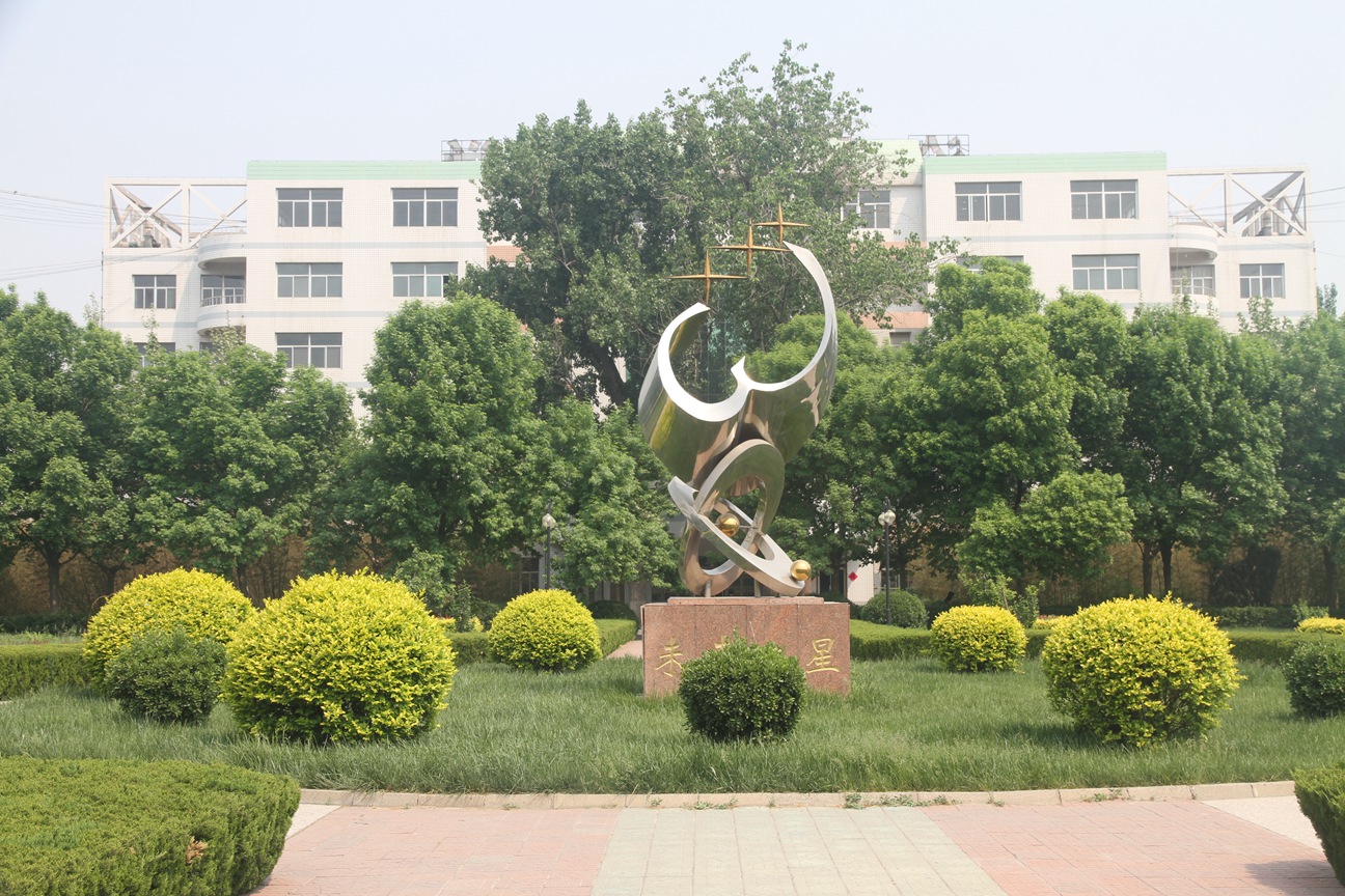 沧县中学两棵相依的树