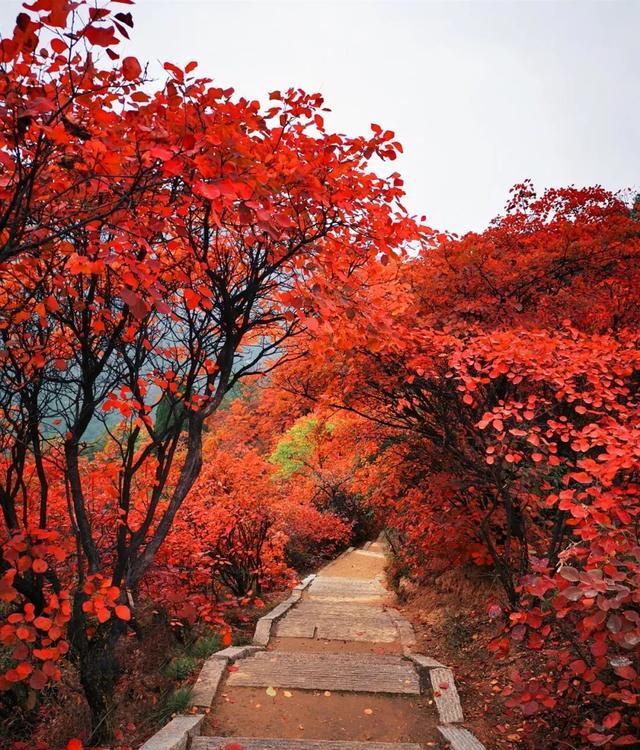 太行山下居然还藏这么多打卡地
