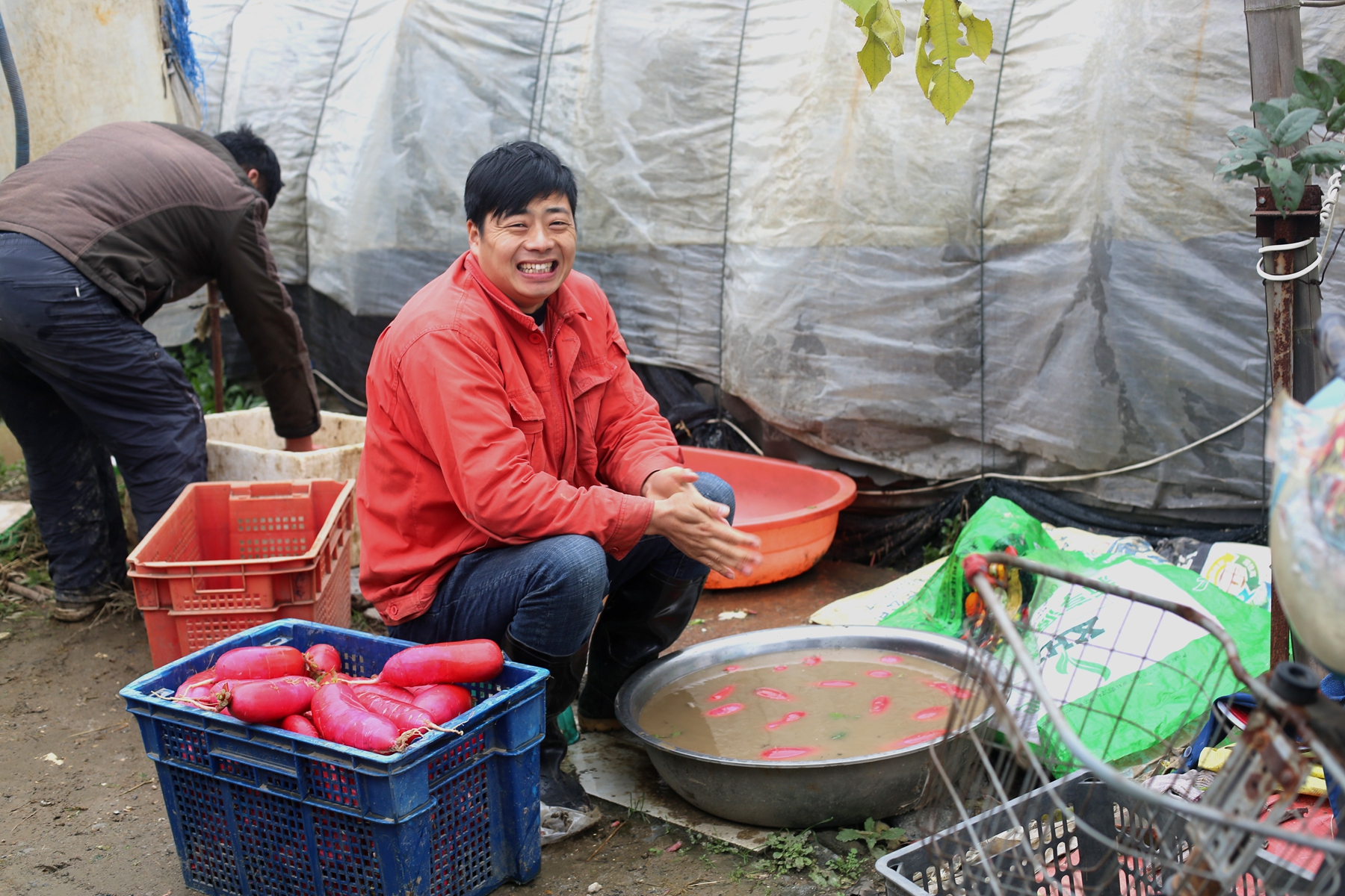 "菜棚哥"菜地纵歌,唱出5个明星声音,周华健惊呼:太像了