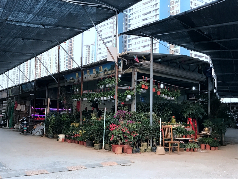 南宁这个花鸟市场二期商家陆续入驻开业! 就在永和桥旁!