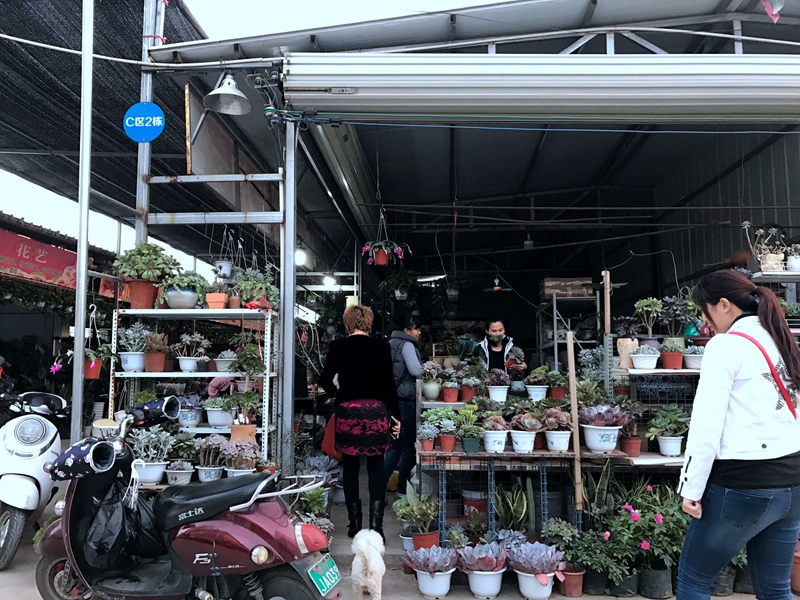 南宁这个花鸟市场二期商家陆续入驻开业! 就在永和桥旁!