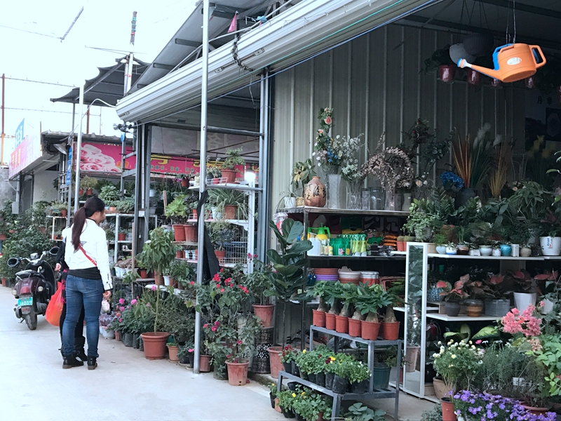 南宁这个花鸟市场二期商家陆续入驻开业! 就在永和桥旁!