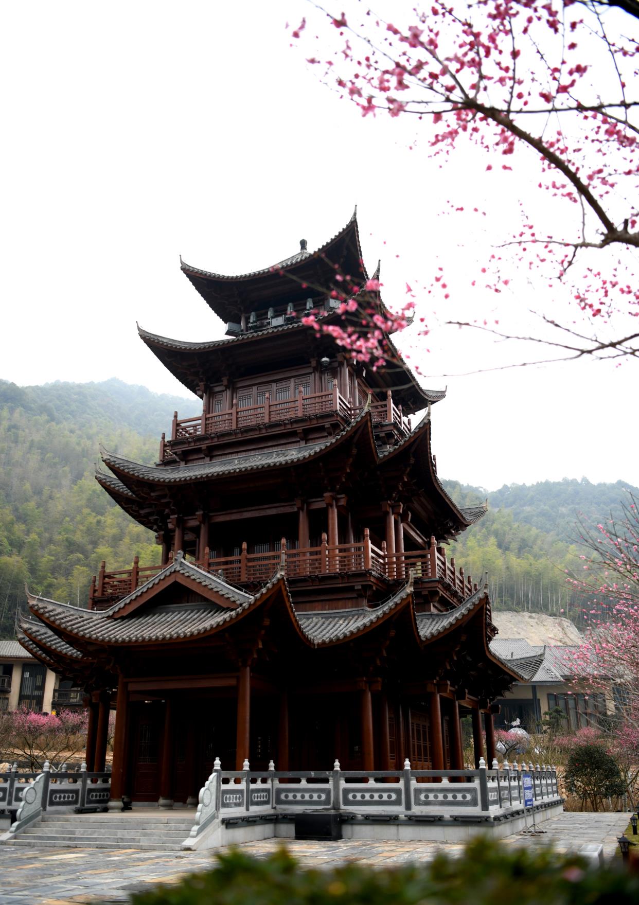 铅山葛仙村度假区2月23日起恢复开放,千株梅花开待君来!