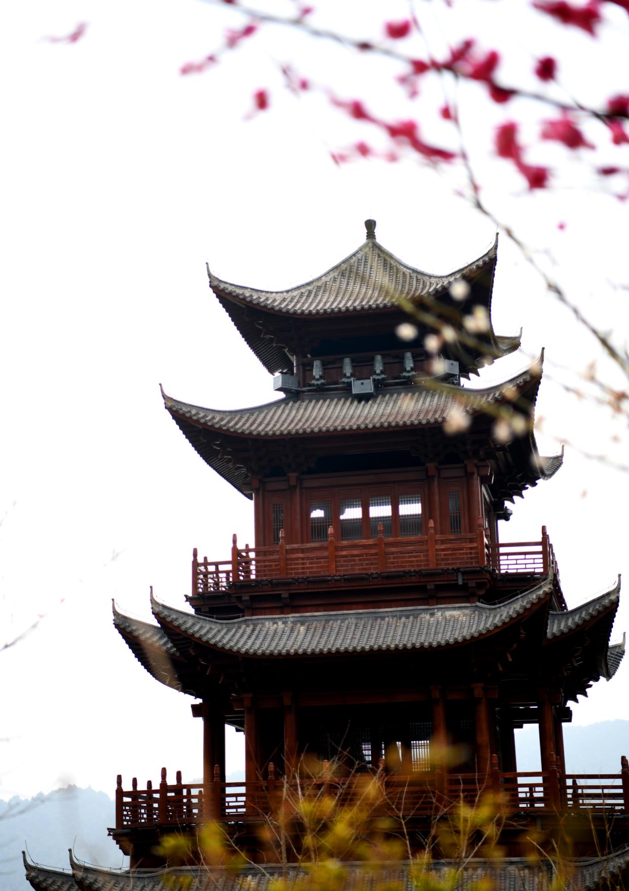 铅山葛仙村度假区2月23日起恢复开放,千株梅花开待君来!