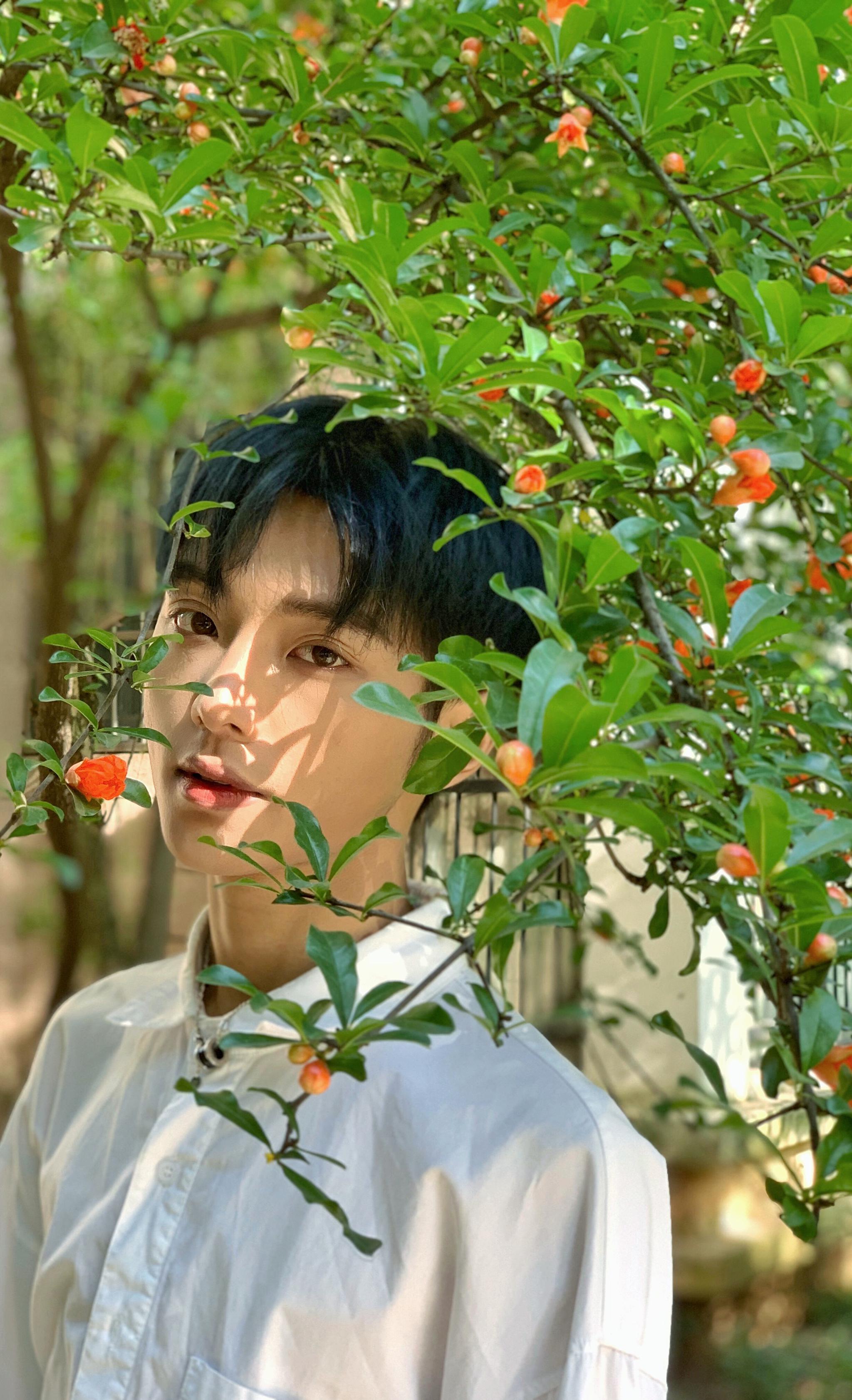 蓝发黑瞳漫画颜新人杨何最新写真诠释偶像气质