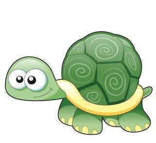 正文       这只小乌龟背着一身重重的"盔甲",尖尖细细的爪子看着不禁