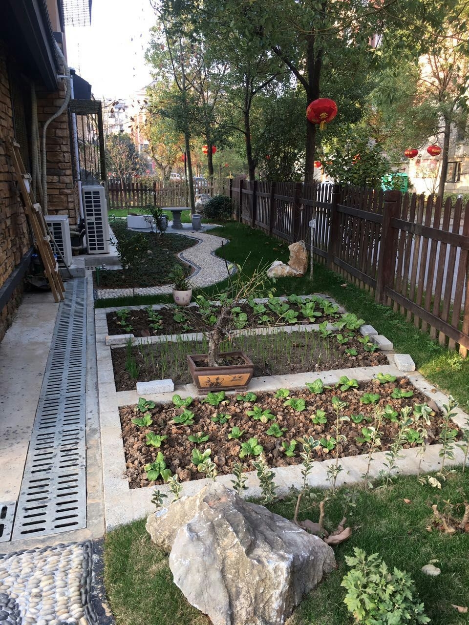 最羡慕外面那片菜地!|堂妹|别墅|装修_新浪新闻