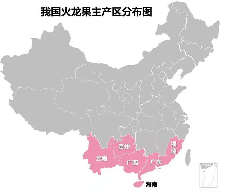 汉和生物|火龙果|水果_新浪网