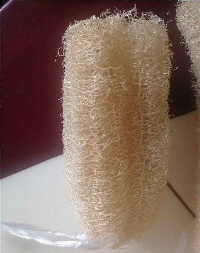 丝瓜络怎么做,嫩丝瓜可以做丝瓜络