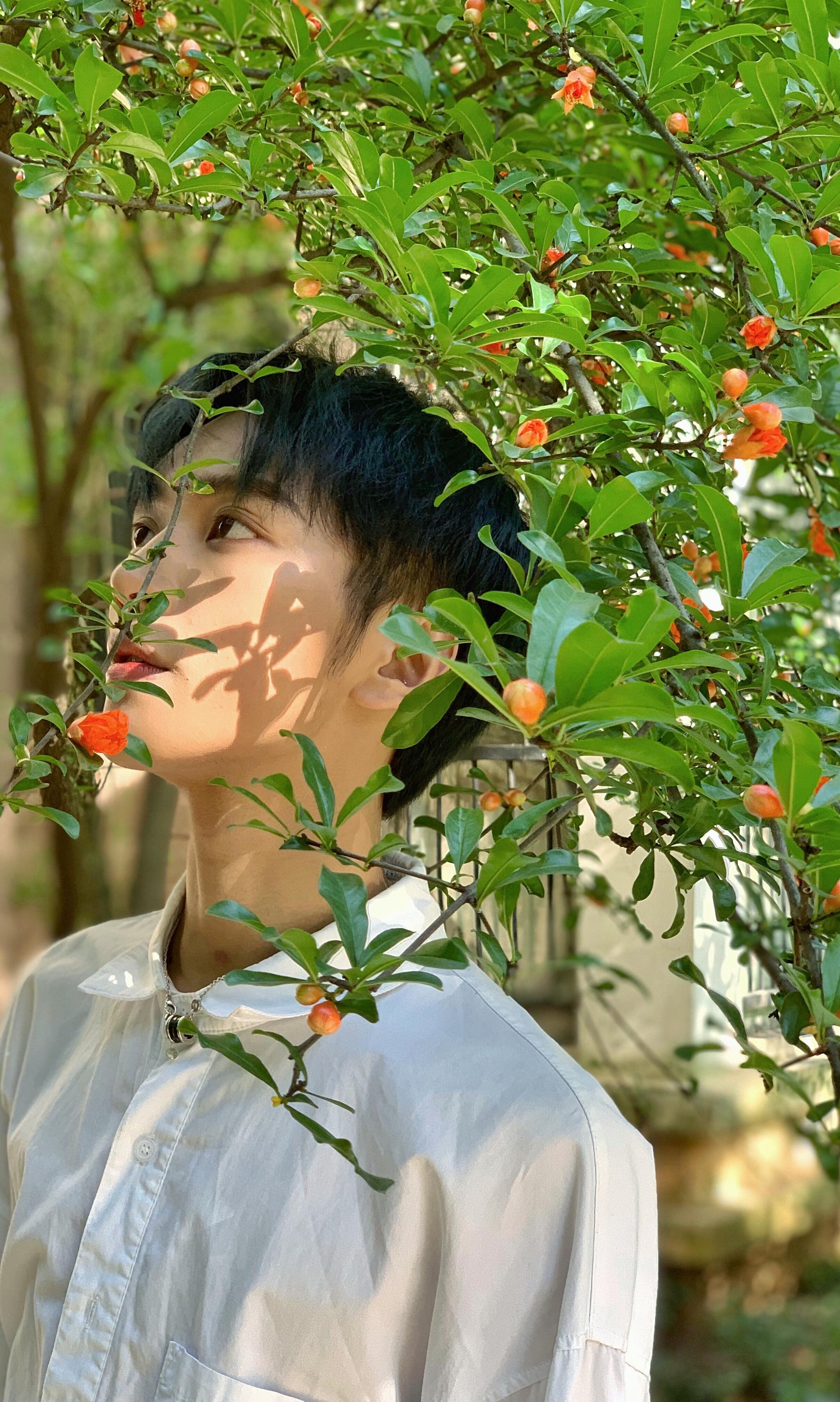 蓝发黑瞳漫画颜新人杨何最新写真诠释偶像气质