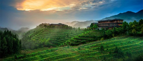 星期四农庄:有品质的天然澳洲茶树护肤专家__财经头条