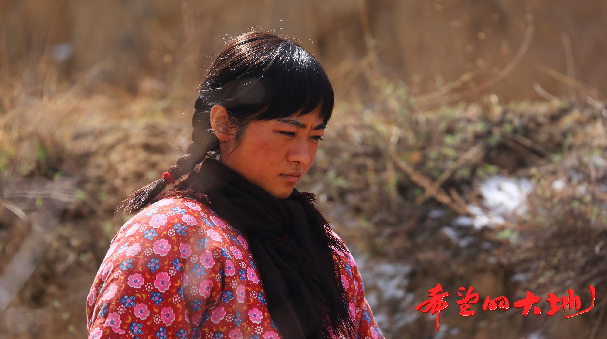 70周年推荐播出参考剧目名单"的重点电视剧,《希望的大地》备受关注