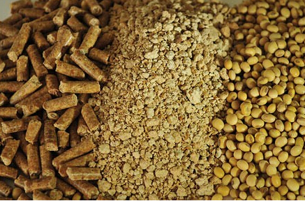 豆粕短期纷扰中暗藏利多支撑