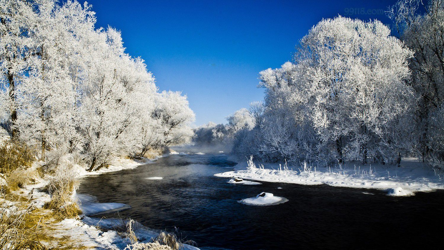黑龙江伊春库尔滨雾凇风景实拍