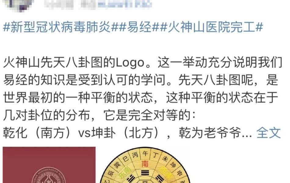 武汉火神山医院logo的解读文案,火了!|雷神|神山|医院_新浪新闻