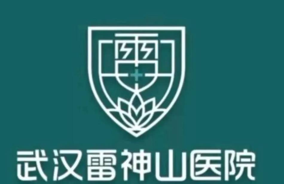 武汉火神山医院logo的解读文案火了