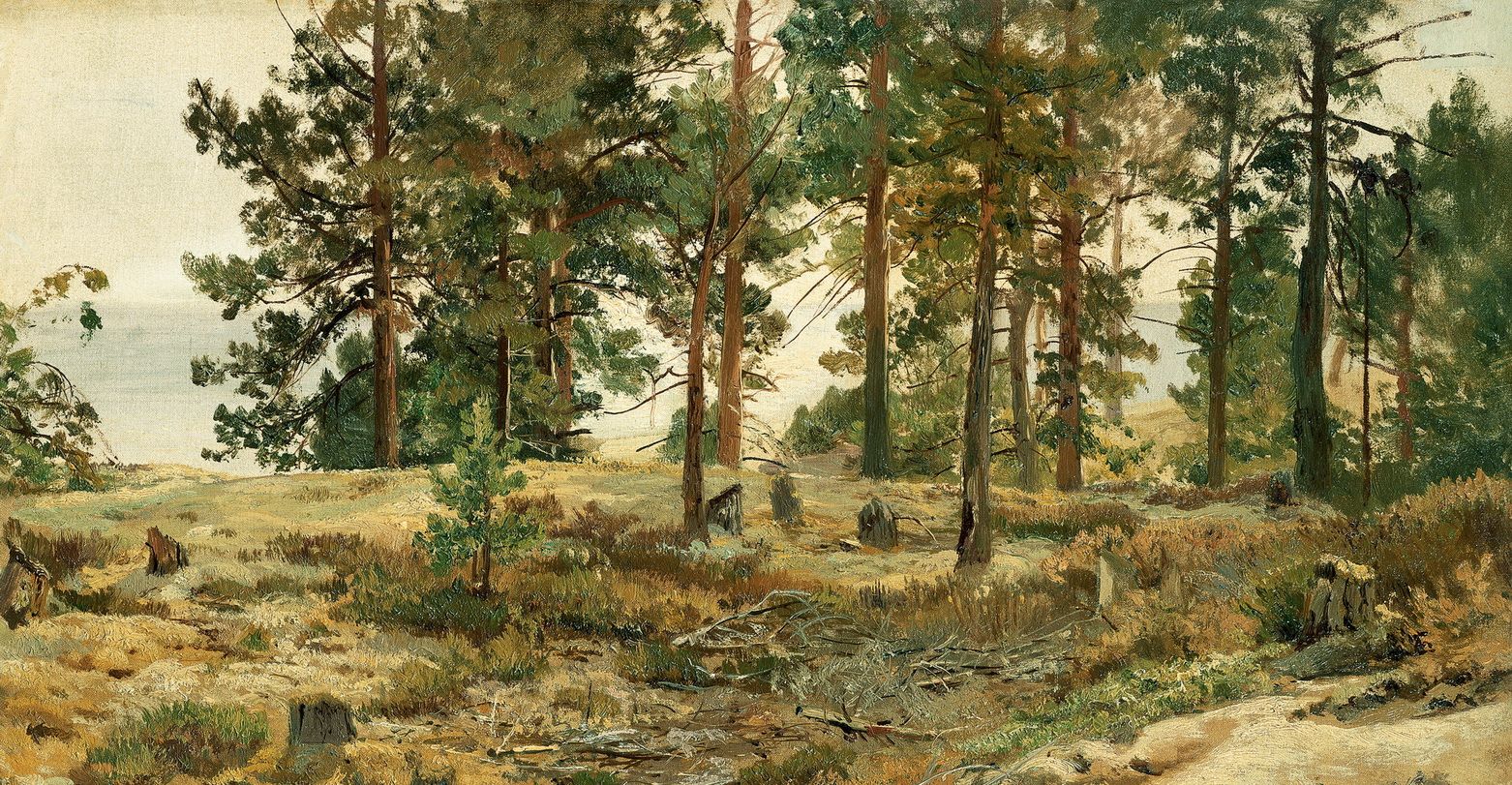 俄国现实主义风景绘画大咖希施金逼真风景油画欣赏