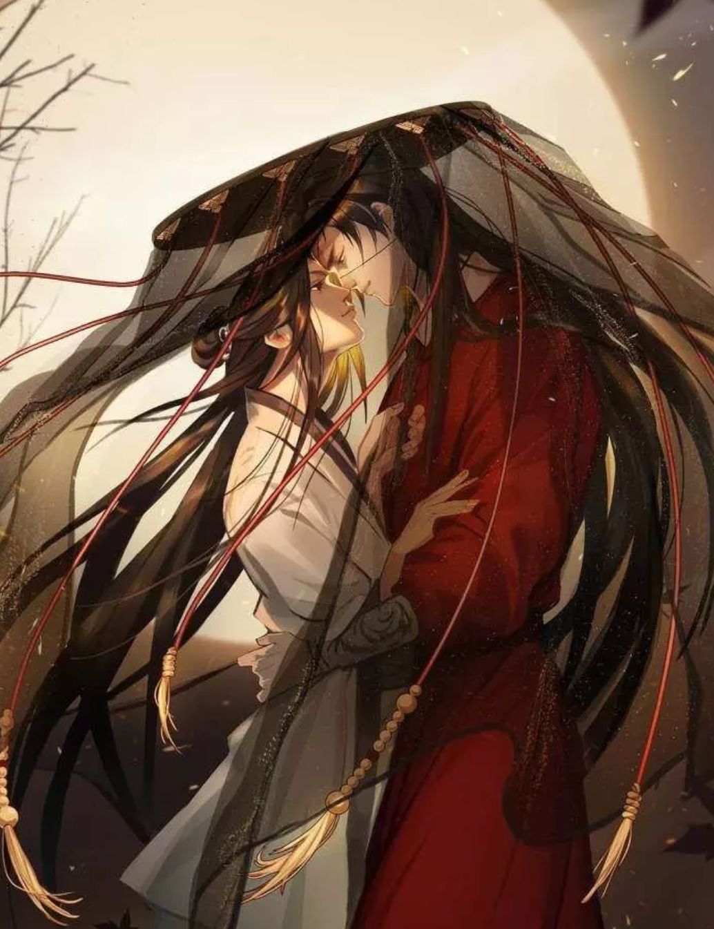 天官赐福:花怜美图合集,以及,怎么一句话证明你爱花怜呢?