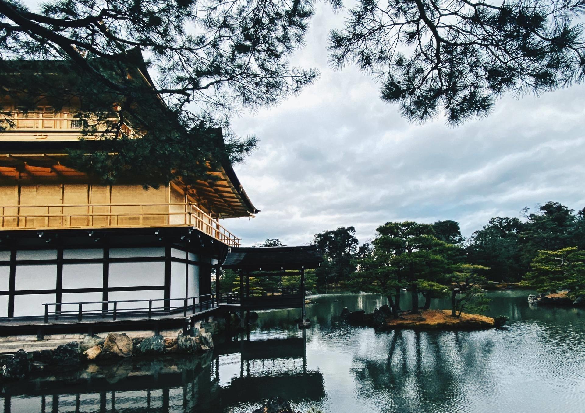 日本旅游不可错过的景点,奈良公园,一个可以被小鹿给萌化的地方