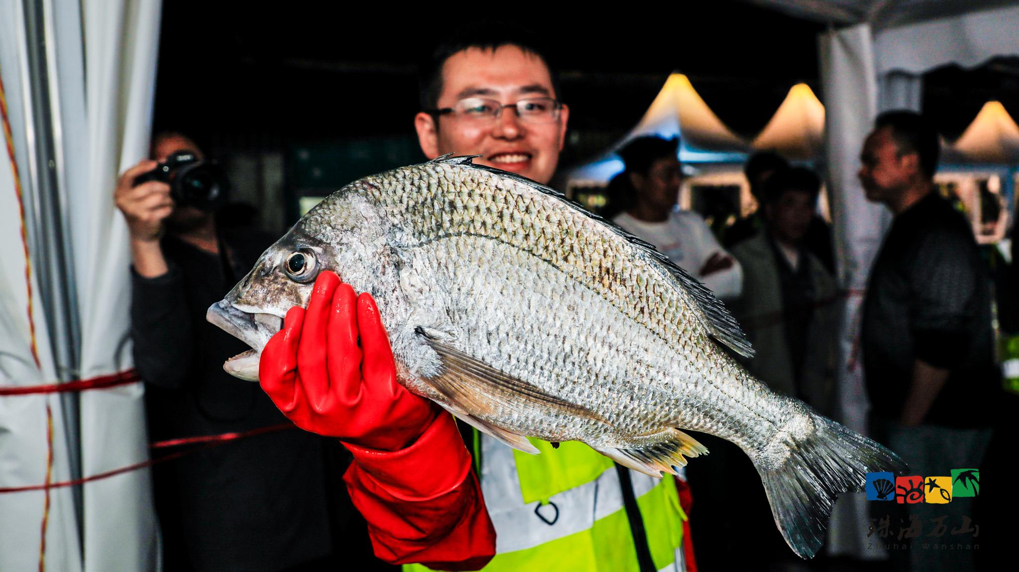 盛况直击:2019"万山论钓"万山群岛国际海钓公开赛