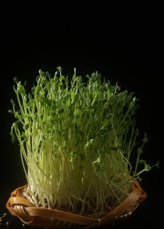 绿油油的有机豆苗上桌,光看颜色就超有食欲,随着豆苗被汤汁逐渐汆透