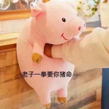 表情包你是不是皮卡丘的弟弟皮在痒