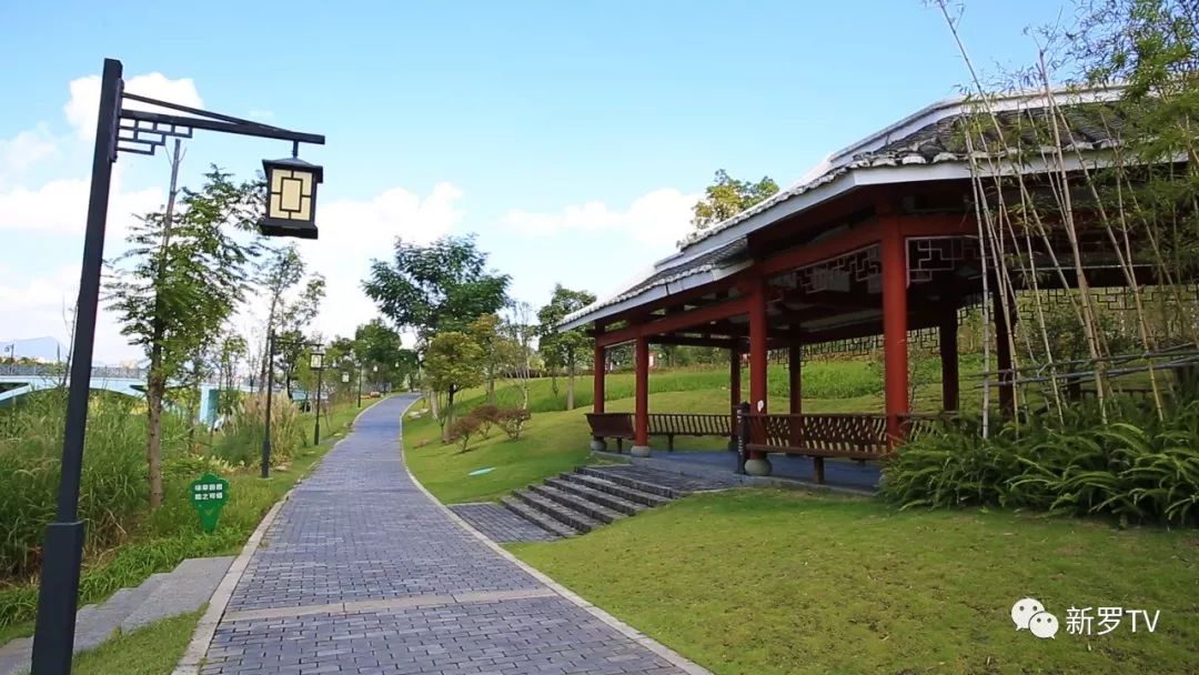 《我是龙岩人》今日推荐——东山湿地公园