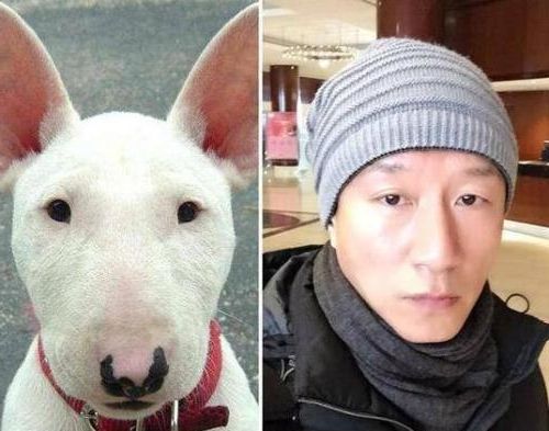 林永健撞脸金球奖女主持,被调侃像兄妹,这些"撞脸"也非常搞笑