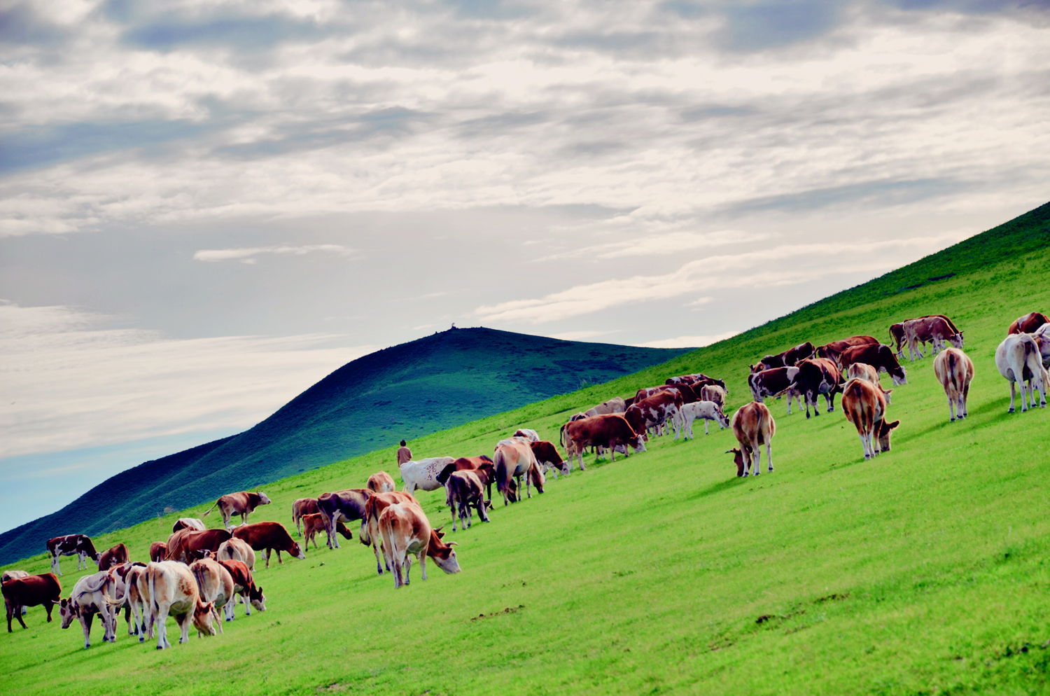 全民摄影原创图集 蒙古包与大草原 摄于上都蓝旗蒙青部落营地