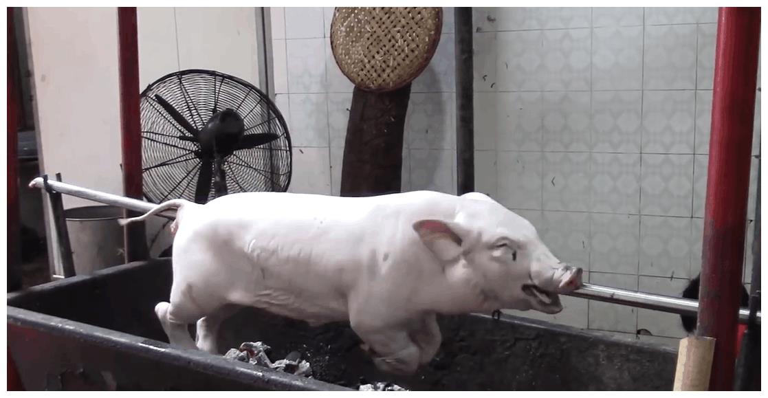 越南街头的烤乳猪,每一口都像脆皮糖一样!