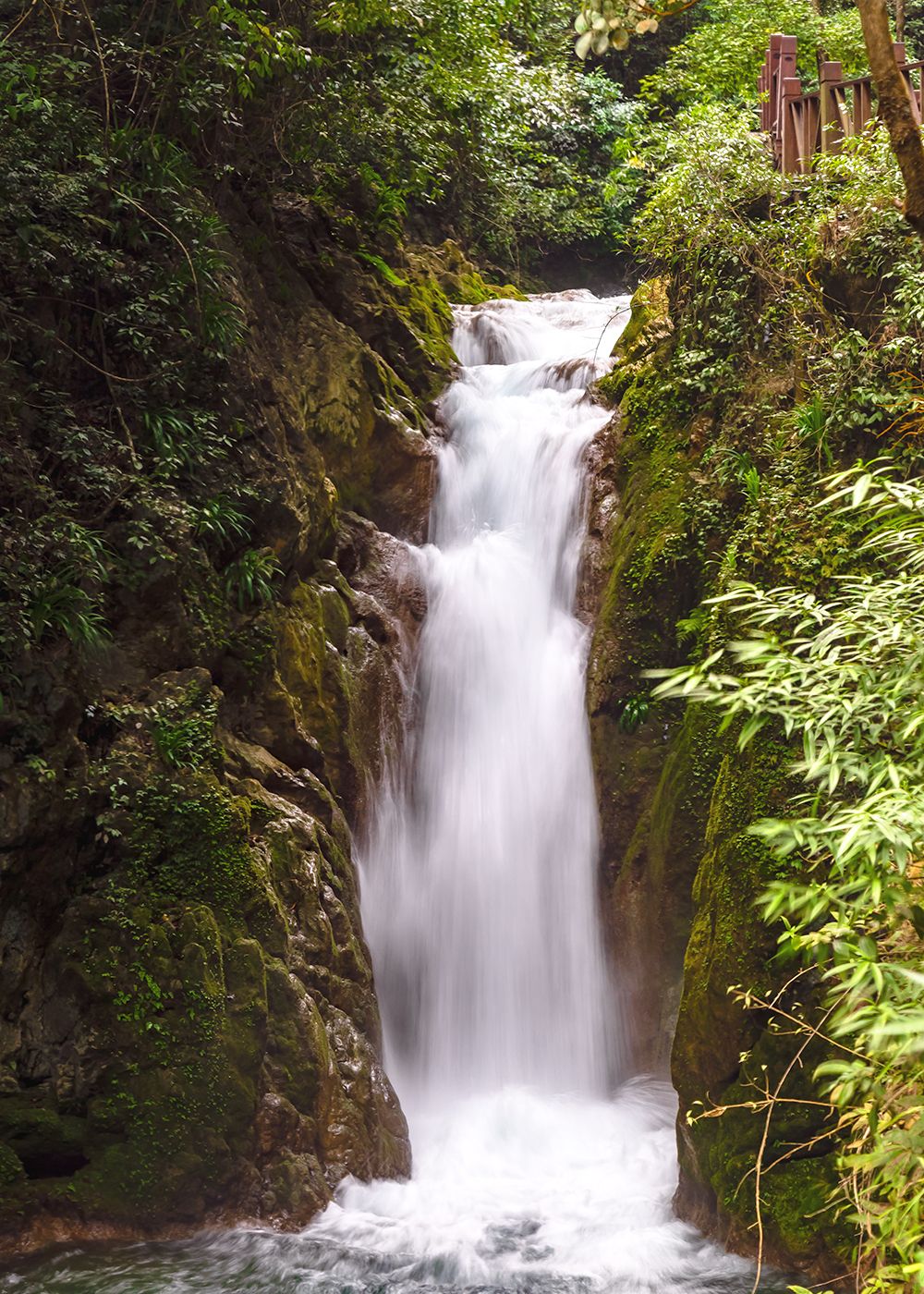 荔波风景名胜区壮丽写真,这林间小瀑真是美极了
