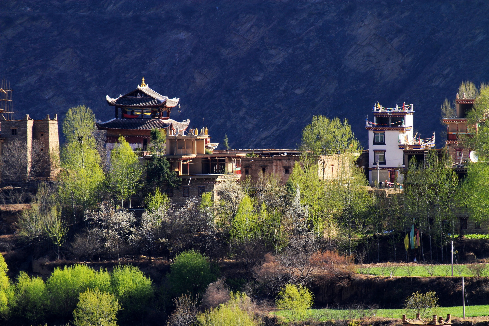 丹巴藏寨美人谷图片