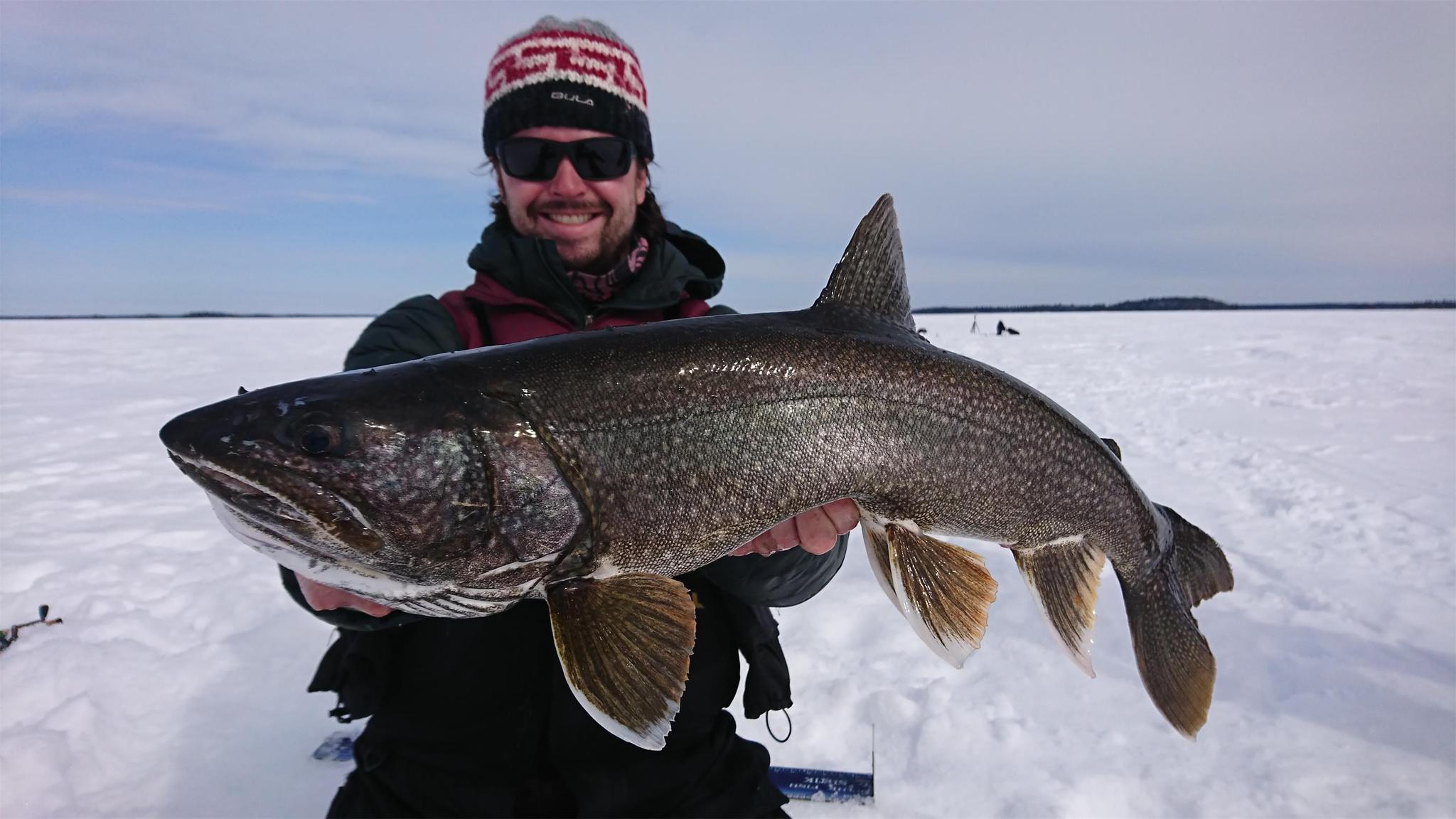 包括北极河鳟,溪红点鲑,湖红点鲑,白斑狗鱼和白眼鱼