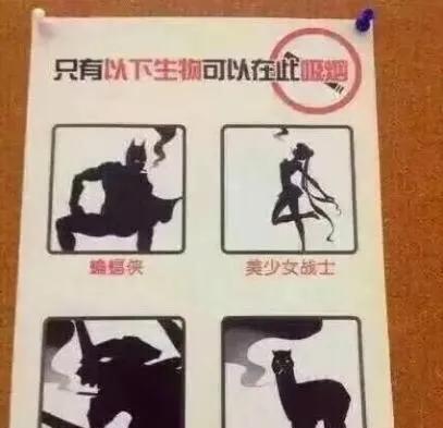 揭秘薛之谦在上海开的“上上谦”串串香火锅店，网友：偶遇谦谦