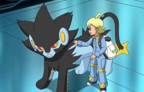 神奇宝贝 这些猫系宝可梦 一个会说人话 另一个比较意外