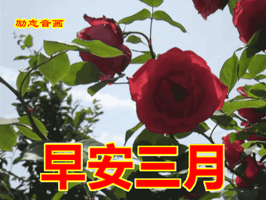 3月你好!永别了,2020年2月