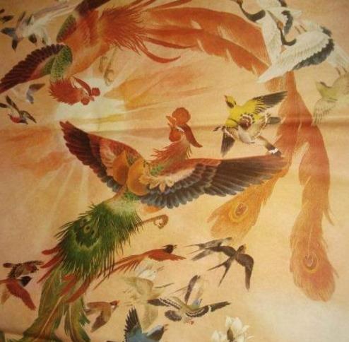 凤凰生育九雏后人为啥只知道朱雀凤凰到底生了哪九种神鸟呢