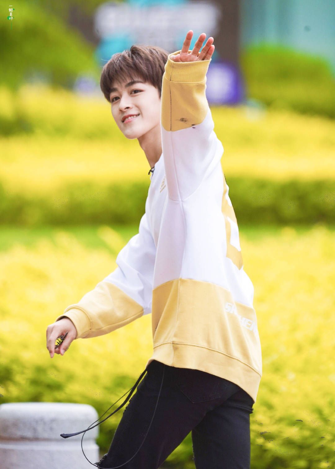 宝藏男孩何洛洛壁纸有喜欢的吗