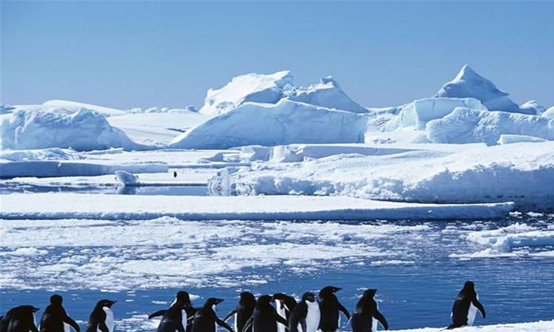 治头发稀少哪个方法好 生发仪什么牌子好