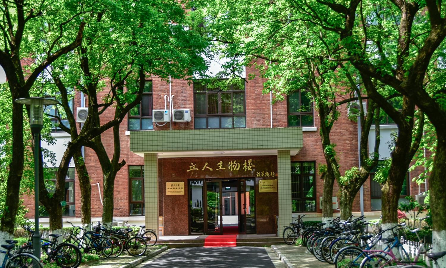 复旦大学校园风景实拍|复旦大学|校园|实拍_新浪新闻