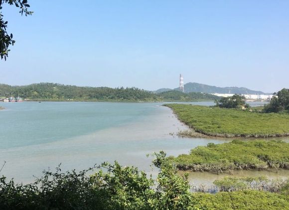 钦州这里有一处宁静优美的海滨小渔村,是一处休闲胜地