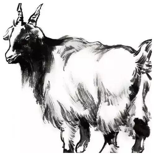 "喜鹊门前喳喳叫":大金羊,谁是羊人命中注定的"恋人"?