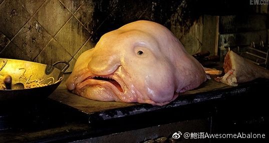 深海鱼为什么长那么丑?