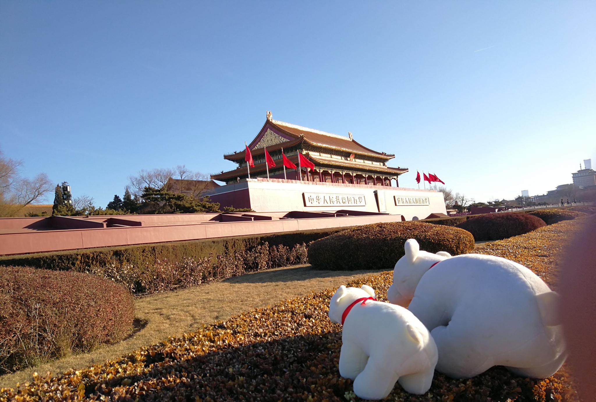 清晨的北京天安门广场,两只小熊的旅行留影……|大熊|留影|人民英雄