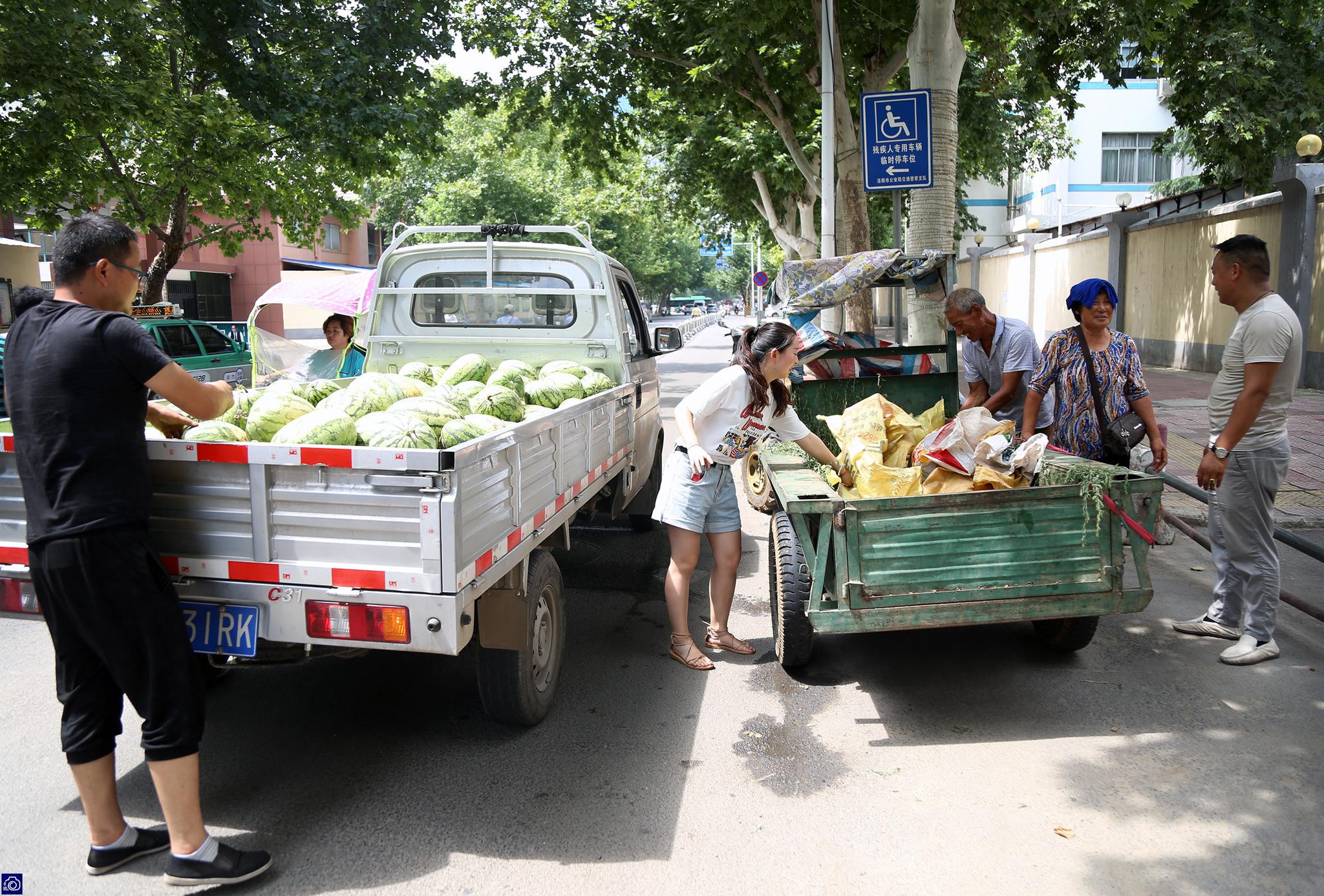 然后在几位员工的帮助下,将手扶拖拉机上的西瓜全部搬到了卡车上
