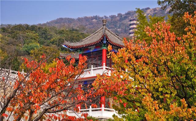 山东莱州有一个清幽的大基山,曾经是世界名山如今却很少有人知道