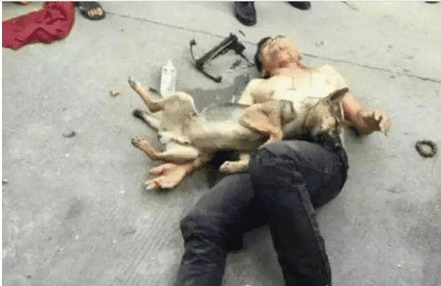 偷狗贼用毒针射狗时不料自己却中毒身亡网友太解气了